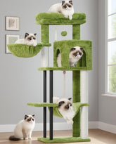 Gitelsnour cat tree green 43-3 inch tower offers sturdy indoor play and climbing fun