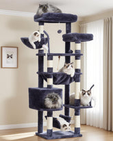 Gitelsnour cat tree top perches provide elevated lounging and panoramic viewing for relaxed, curious cats.