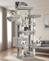 Gitelsnour Cat Tree top perches provide elevated views for curious indoor cats.