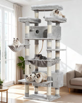Gitelsnour cat tree top perches for elevated viewing and lounging.