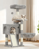 Gitelsnour cat tree top platform offers elevated view and quick access for kittens