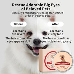 GJYC PET eye cleaner for dogs demonstrates gentle cleansing of the eye area.