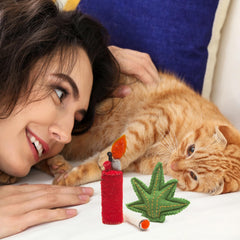 Glaciart One wool material close-up highlights natural fibers shaping safe chewing experiences.