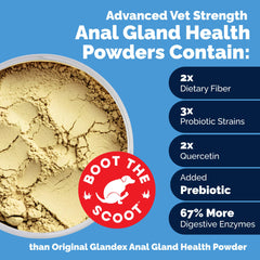 Glandex digestive enzymes probiotics bottle emphasizes gut-friendly formula