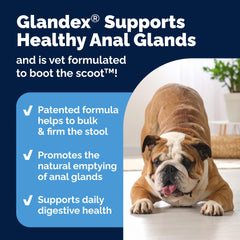 Glandex patented formula with natural ingredients for anal wellness.