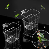 GLEFLE clear acrylic aquarium plant holder top hanging for a stable display.