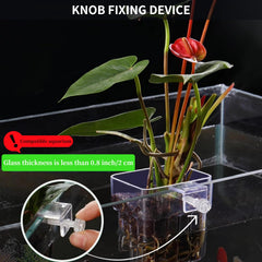 GLEFLE landscaping aquarium plants with this holder supports lush underwater greenery.