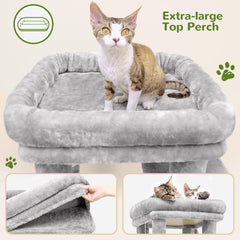 Globlazer cat tower double condos provide quiet retreats for large cats.