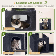 Globlazer cat tree with 3 condos highlights equal private space for multiple felines.