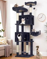 Globlazer cat tree 70inch top perch for elevated viewing and lounging.