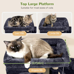 Globlazer cat condos offer private spaces for three cats to rest comfortably.