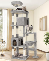 Globlazer Giant Cat Tree assembly guide shows sturdy frame and easy setup.
