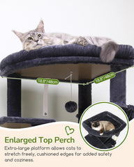 Globlazer cat condos with wide openings offer ventilated resting space