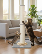 Globlazer SC35 top view shows tall scratching post ready for extended play.