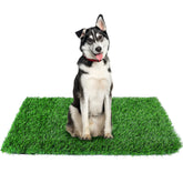 Globreen 34x23 dog potty pad laid flat for indoor use.