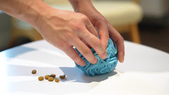 Glory To Dog snuffle ball treats inside image emphasizes hidden reward discovery.