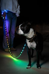 Animated modes on Glowy Zoey Luminoid LED leash for evening jogs