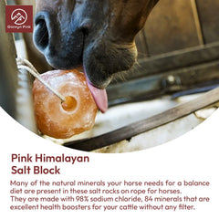 Glowyn Pink Himalayan salt block closeup shows pure minerals for livestock health.