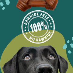 Medium to large dog chewing Gnawturals ribbed bone during chew session