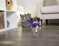 GoDog Dinos Bruto purple plush with built-in squeaker to spark interactive play.