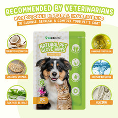 GoEcoVita Pet Glove Wipes Face Use demonstrates gentle cleansing around sensitive facial areas.