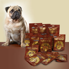 GOGO turkey tendon strips closeup—digestible protein texture.