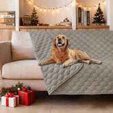 gogobunny blanket front view 52x82 demonstrates dual-color protection for stylish furniture lounging