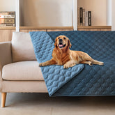 gogobunny dog bed cover folded in dark blue protects furniture and hides messes.