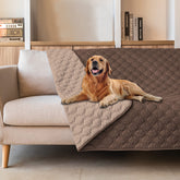 gogobunny dog bed cover waterproof double layer protects furniture from spills and accidents