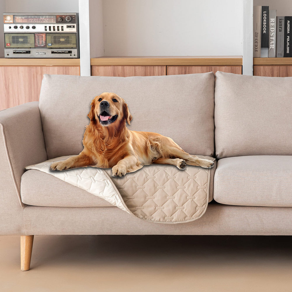 gogobunny dog bed cover waterproof double-sided protects furniture from spills.
