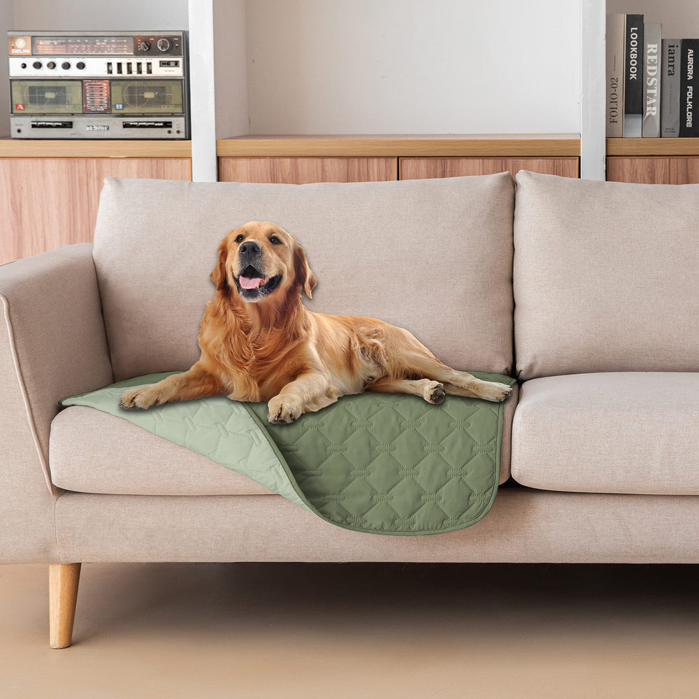 gogobunny dog bed cover waterproof layer closeup protects furniture from accidents
