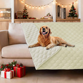 Gogobunny dog bed cover with waterproof outer layer protects furniture from spills.