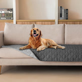 gogobunny dog bed cover waterproof outer layer protects furniture from spills and messes