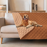 gogobunny dog bed cover waterproof outer layer shields furniture from spills