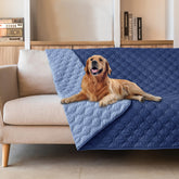 gogobunny dog blanket dark navy front view shows reversible plaid design for sofa protection