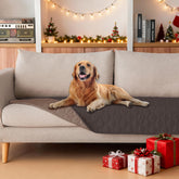 Gogobunny dog blanket with double-sided waterproof layers protecting furniture from messes.