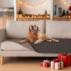 Gogobunny dog blanket with double-sided waterproof layers protecting furniture from messes.