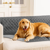 Gogobunny dog blanket waterproof close-up showing dual-layer protection for spills.