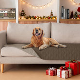 Gogobunny waterproof double-layer dog blanket protects furniture from spills and accidents.