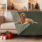 Gogobunny dog blanket waterproof double layer protects furniture from spills and accidents.