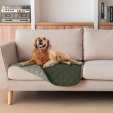 Gogobunny dog blanket waterproof double-sided protects furniture from spills and messes.