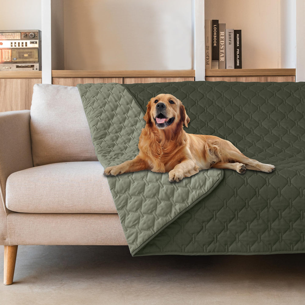Gogobunny dog blanket with waterproof outer layer protecting furniture from spills