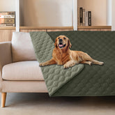 Gogobunny dog blanket with waterproof outer layer protecting furniture from spills