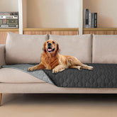 gogobunny dog blanket waterproof outer layer protects furniture from spills and messes.