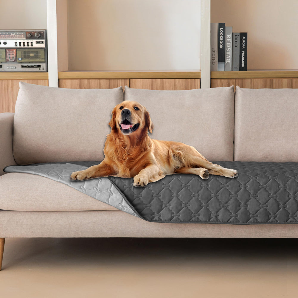 Gogobunny dog blanket waterproof outer layer for mess-free pet lounging.