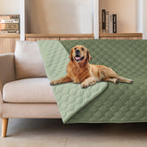Gogobunny double-sided waterproof blanket on a couch protecting furniture from spills.