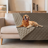 gogobunny double-sided waterproof blanket outer layer protects furniture from spills