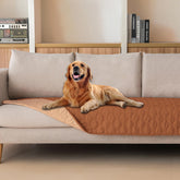 Gogobunny dog bed cover with waterproof outer layer protecting furniture from spills.