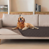 Gogobunny double-sided waterproof dog blanket on sofa protecting furniture from spills.