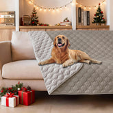 gogobunny double waterproof blanket on darkstone keeps furniture protected and paws dry